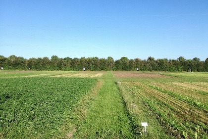 Department of Agroecology, Aarhus University
