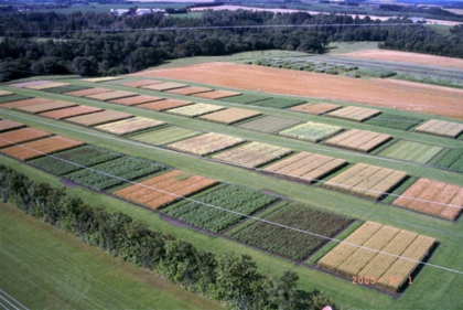 Department of Agroecology, Aarhus University