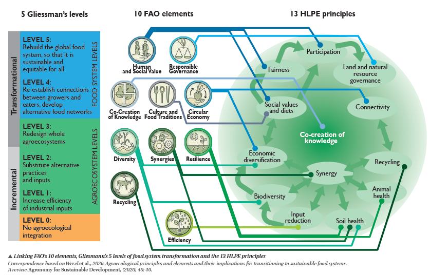 Figure 1. Illustration of the different food system transformation levels (Agropolis International Dossier N° 26).
